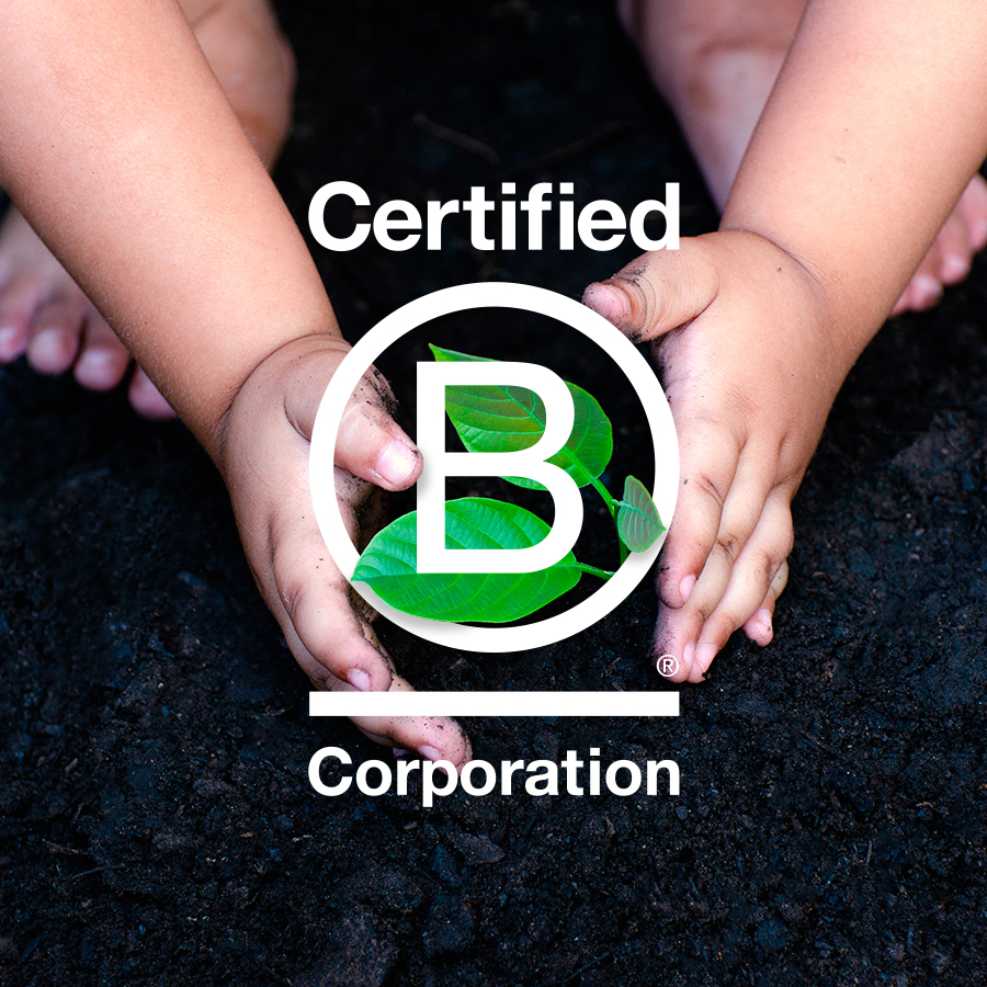 The B Corp Movement and Danone